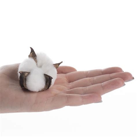 bag of fake cotton bowls|cotton bolls.